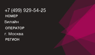 4999295425